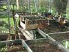 The greenhouse