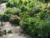 The main front border