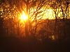 Winter sunset