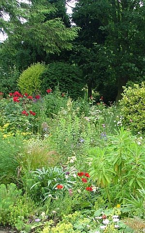 The view from the main yard, high summer